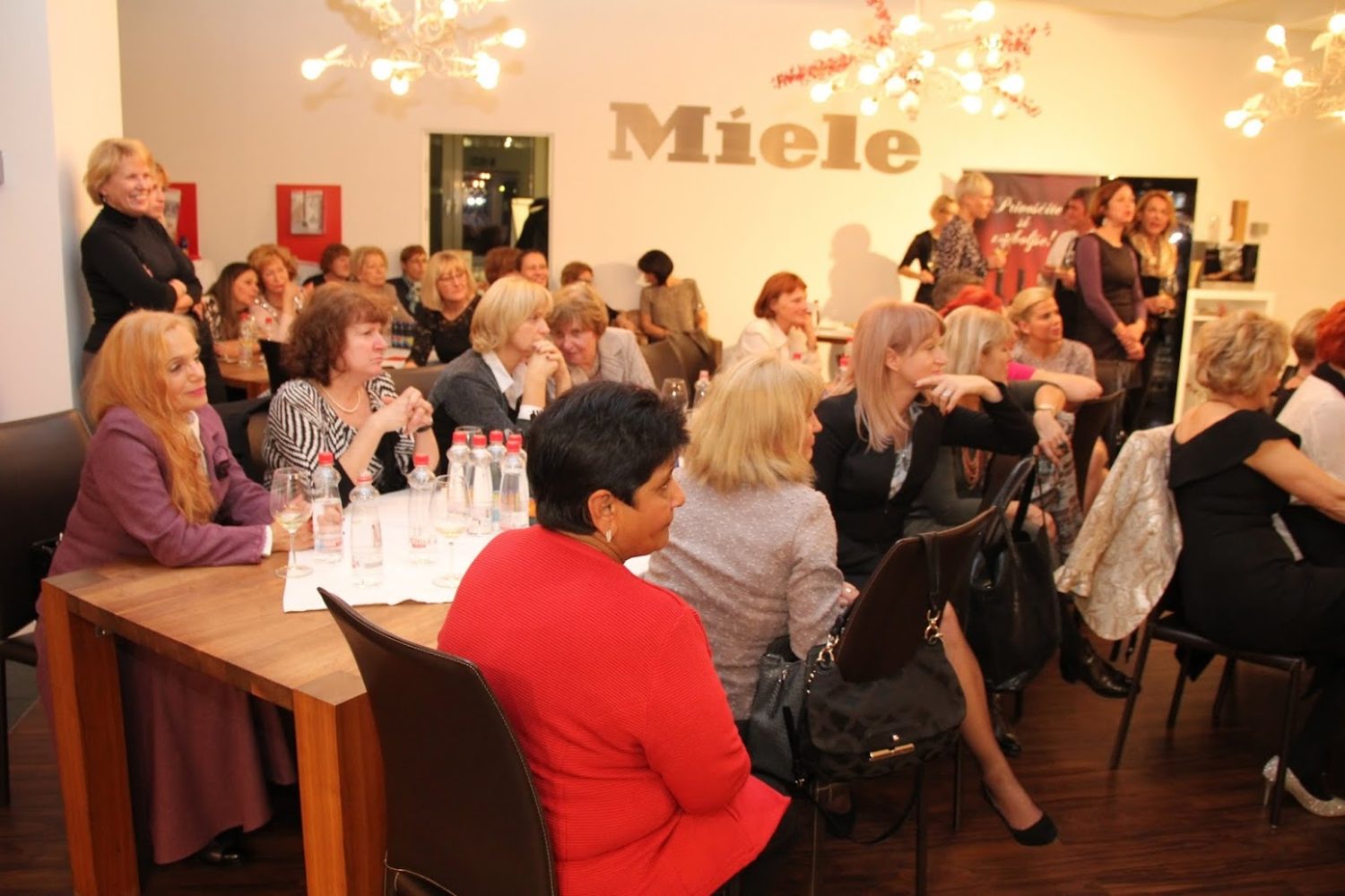 FAMozne v Miele Slovenija