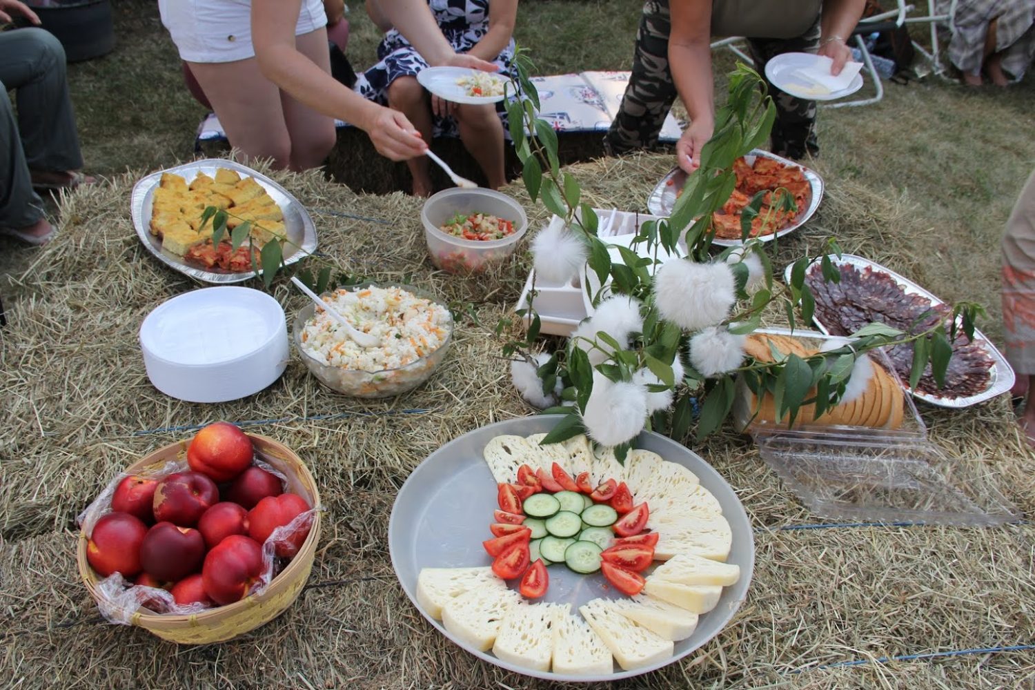 FAM piknik pri Katarini Avšič na Nemški cesti v Ljubljani