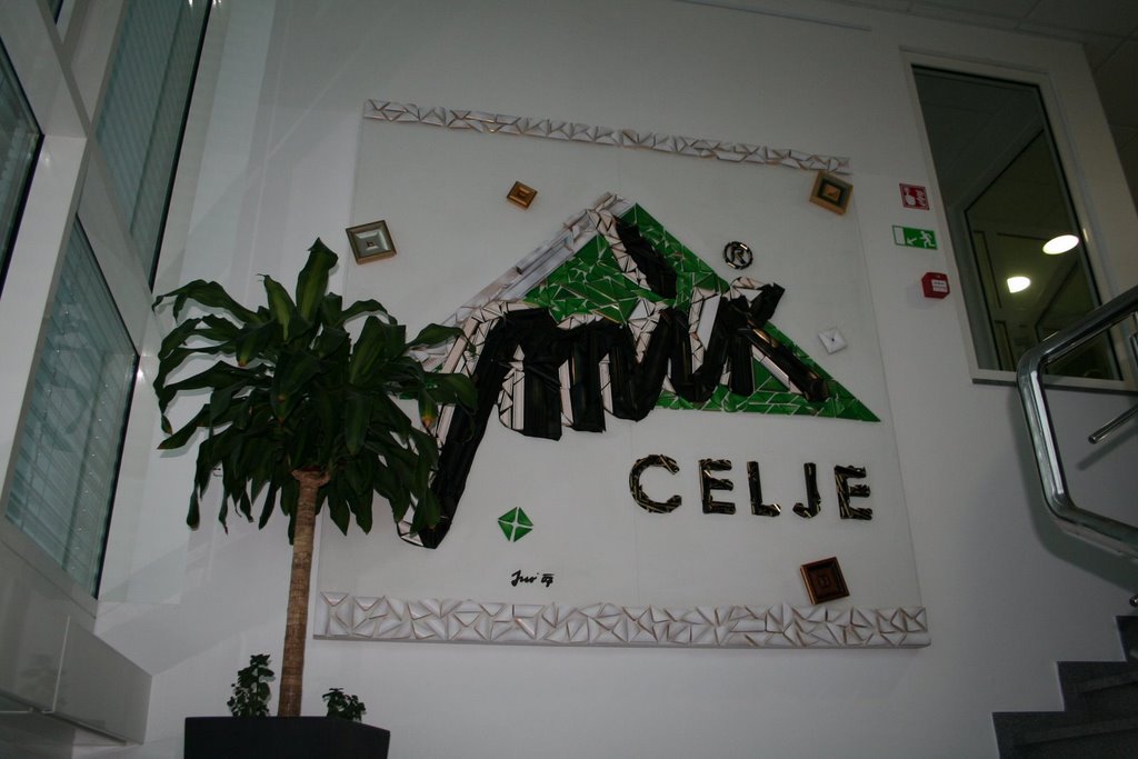 V podjetju MIK Celje